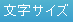 文字サイズ